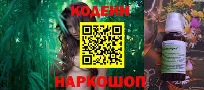 apvp Бийск