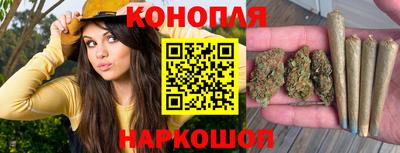 шишки Берёзовский