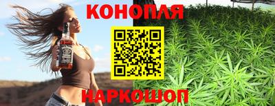 шишки Берёзовский