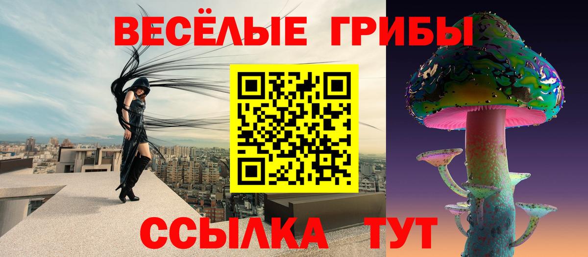 Зима  Псилоцибиновые грибы GOLDEN TEACHER  Псилоцибиновые грибы мицелий  Вход с VPN 